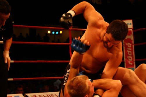 Bárdosi Sándor MMA