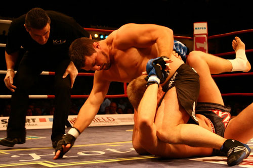 Bárdosi Sándor MMA
