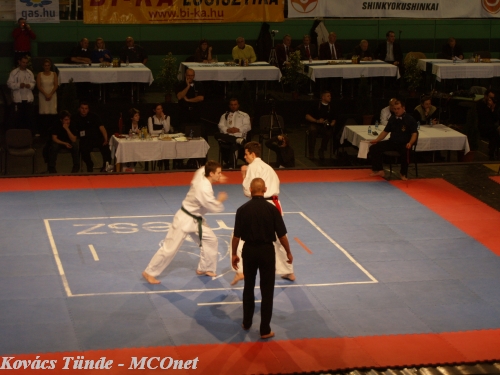 Magyar Kyokushin Karate Szervezet