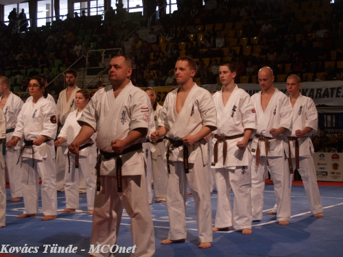 Magyar Kyokushin Karate Szervezet 