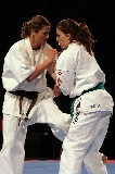 Kyokushin Hungarian Open 2009