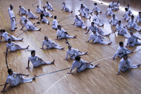 Kyo karate