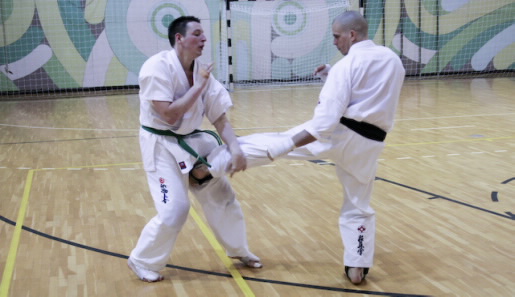    Pető Krisztián Magyar Kyokushin Karate Szervezet 