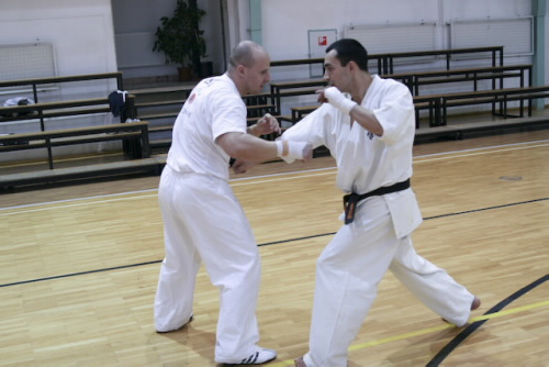 Magyar Kyokushin Karate Szervezet válogatott kerete