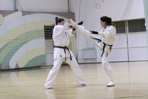 Szepesi Csenge, Magyar Kyokushin Karate Szervezet 