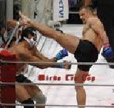 Mirko „CroCop” a DREAM-nél folytatja