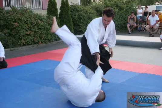 2009_tabor_aikido_289_20090515112702_307.JPG