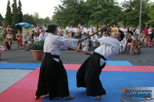 2009_tabor_botharc_763_20090515112820_678.JPG