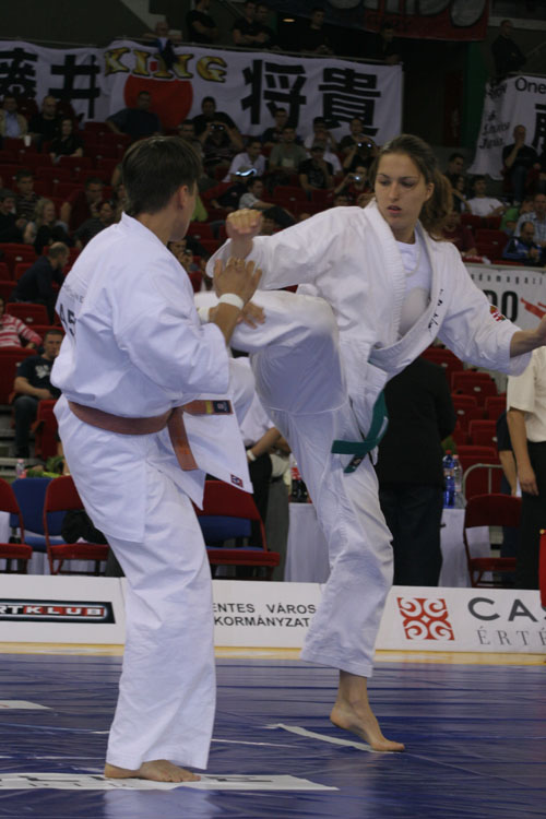 Karate WT