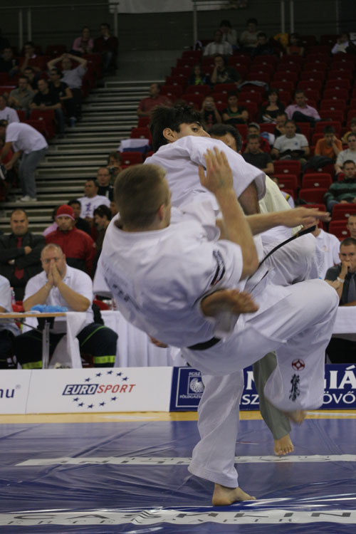 Karate WT