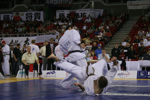 Karate WT