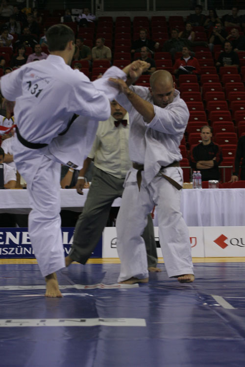 Karate WT