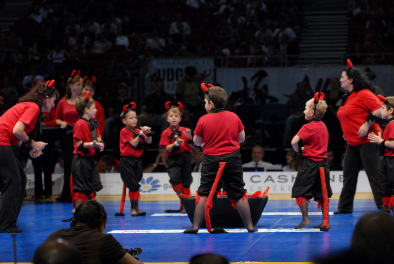 Karate WT Magyarország