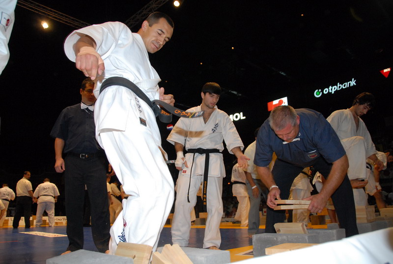 Kyokushon karate