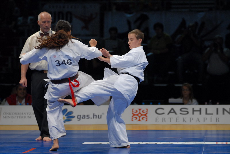 Karate WT