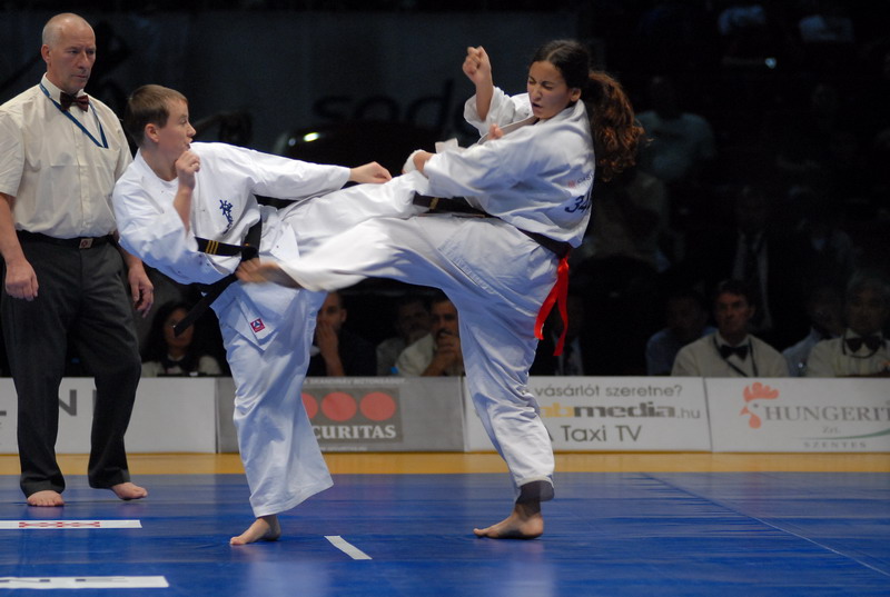 Kyokushin WT
