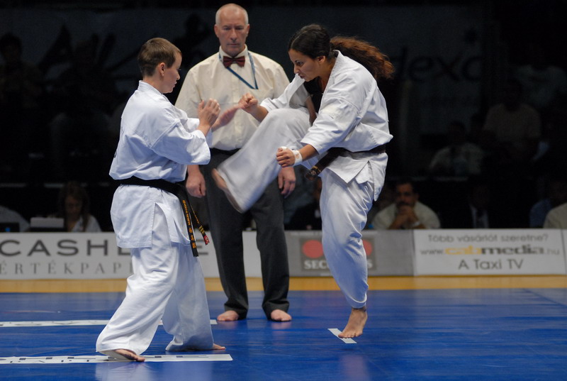 Kyokushin WT