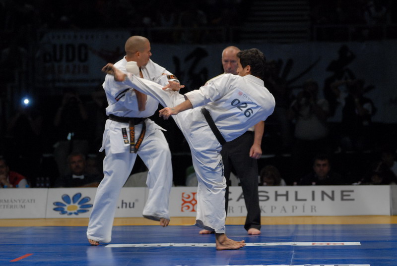 Kyokushin