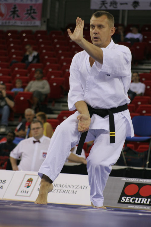Karate WT