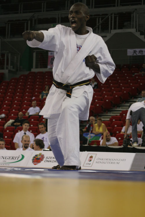 Karate WT