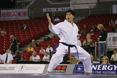 Karate Hungary