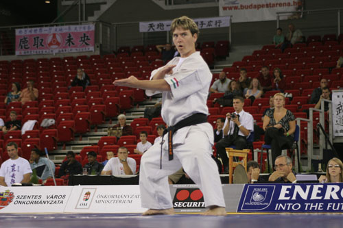 Karate WT