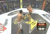 Fedor vs. Werdum