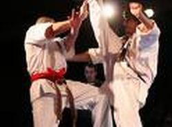 Kyokushinkai