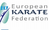 Falusi Márton az EKF szervező bizottságában gyakornok