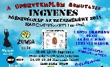 Sport- egészség és harcművészeti nap programtervezete