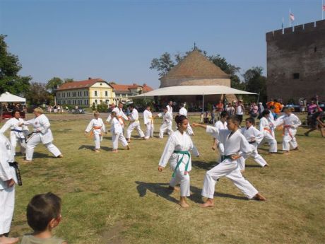 Karate bemutató Gyulán
