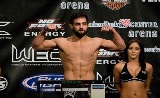 UFC 158: Hendricks vs Ellenberger