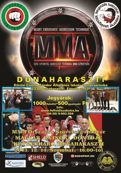 MMA döntő Dunaharasztiban, 2013