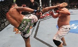 UFC on Fox 11: Werdum vs Browne