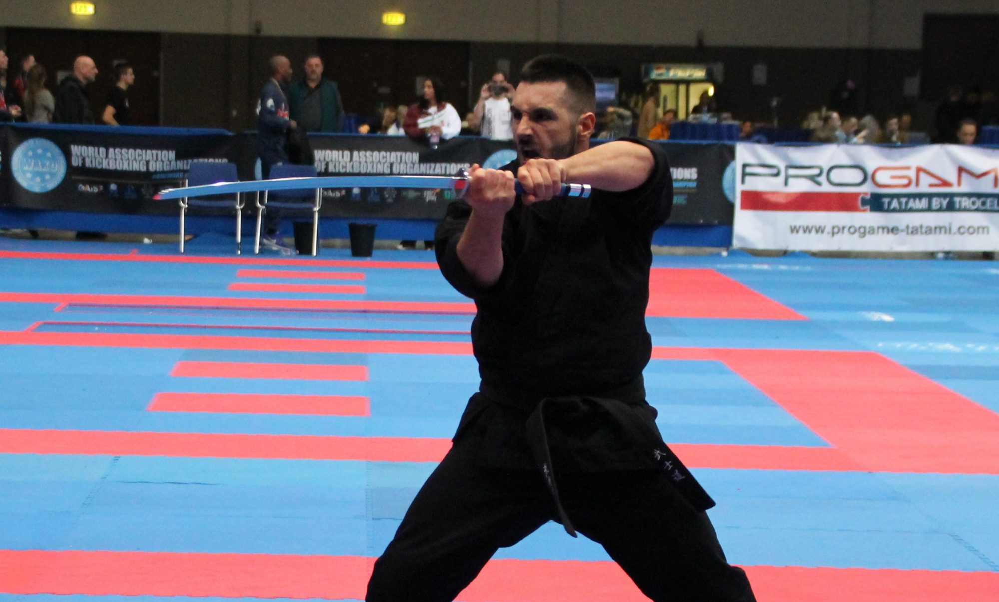 Magyar kick-box éremeső Európában!
