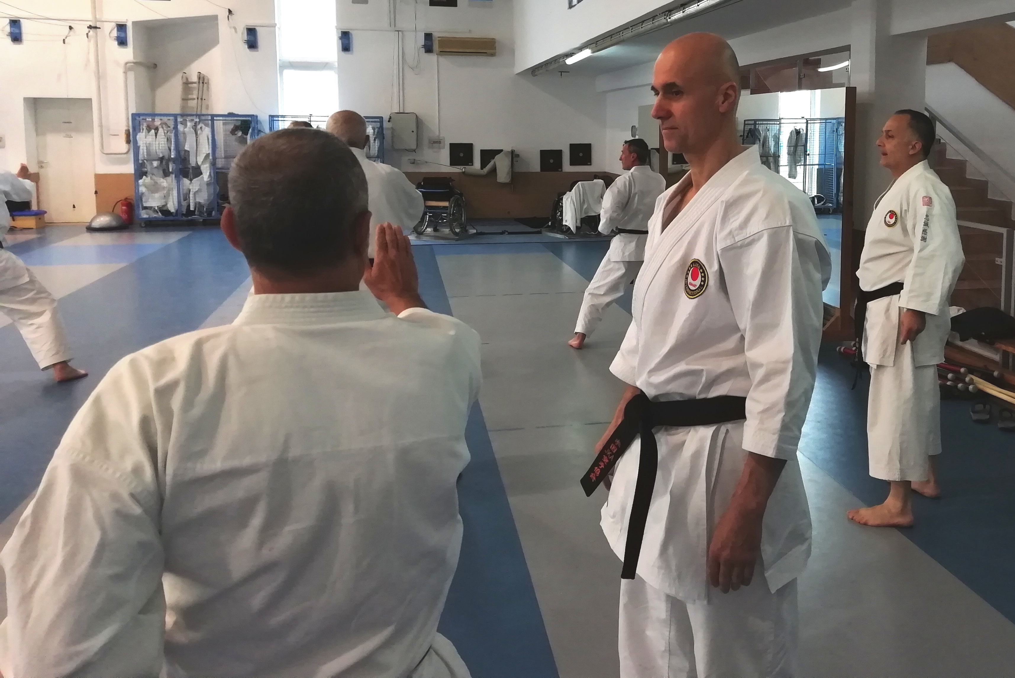 Karate a az iskolai testnevelés keretein belül