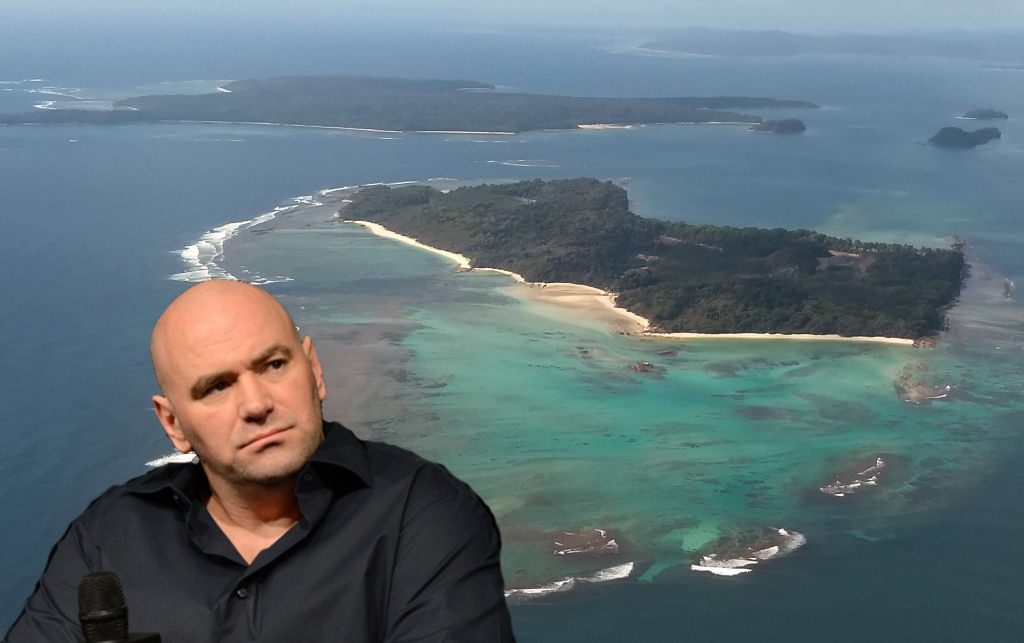 Dana White „három-négy” egymást követő kártyát tervez