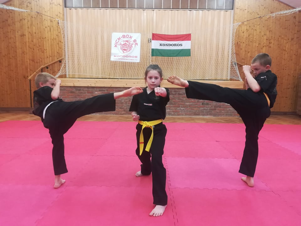 Magyar sikerek internetes kick-boxban