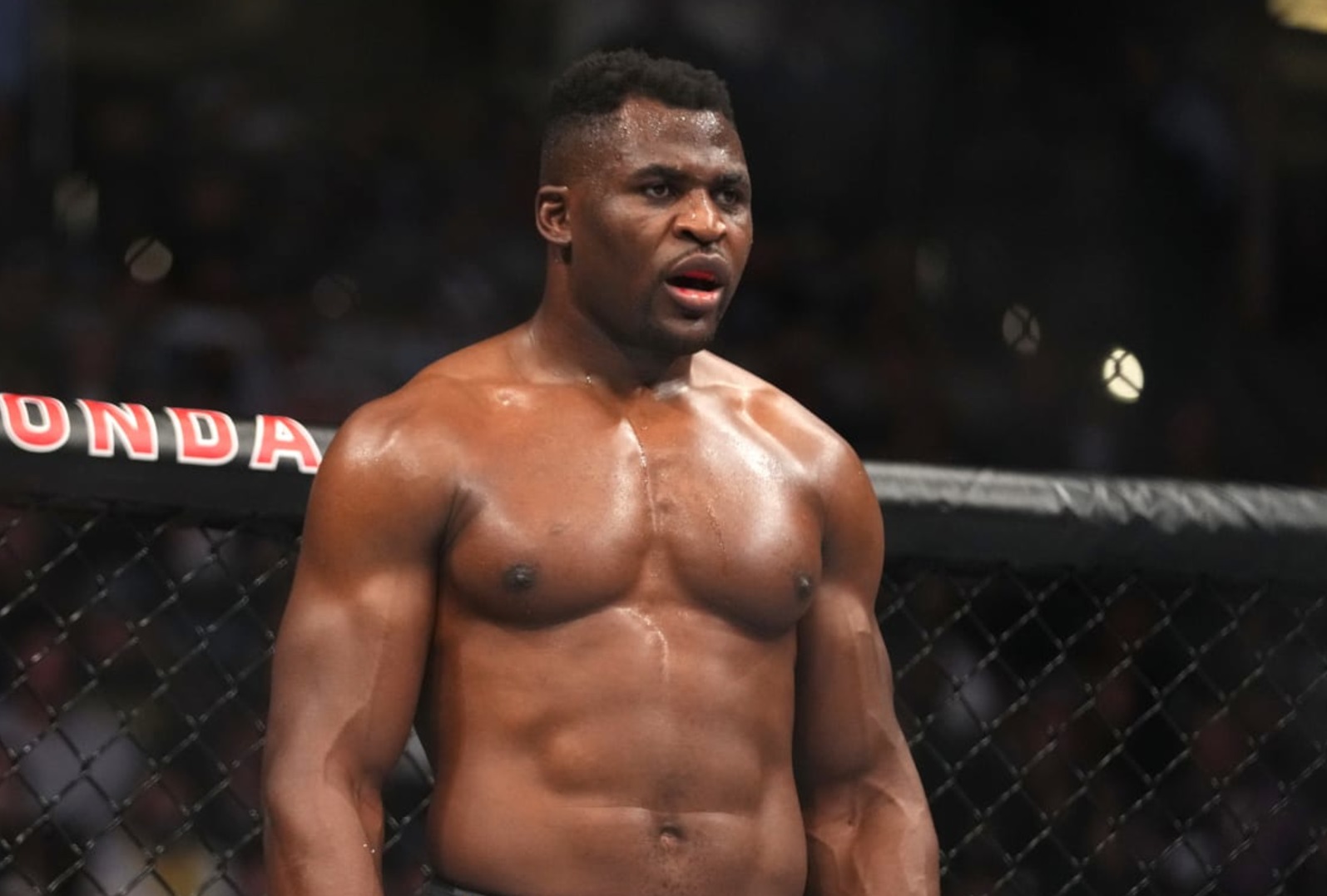 Ngannou McGregor útját szeretné bejárni