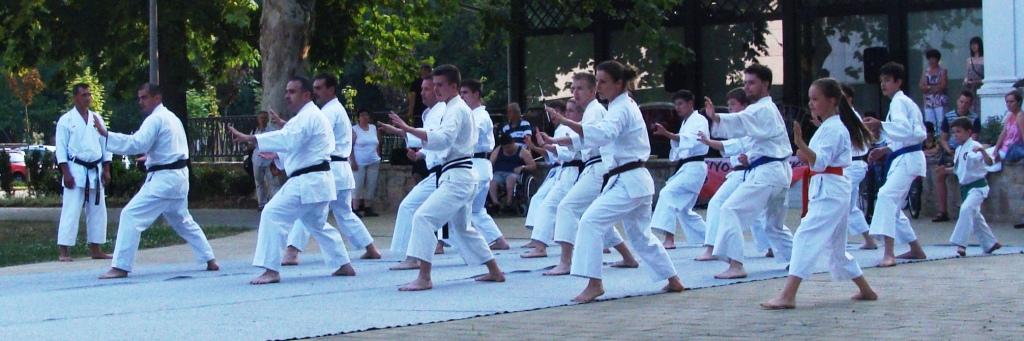  A Gyulai Karate Egyesület Oldalt az irányító: Torma György VI.DAN