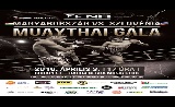  FNH 2016-ban is sztárokkal a Barba Negrában!