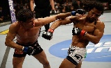 UFC 188: Alvarez vs Melendez